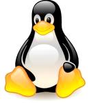 Linux内核开发