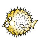 OpenBSD