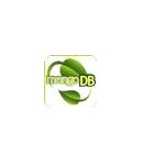 MongoDB