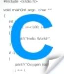 C Programer
