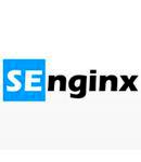 SEnginx