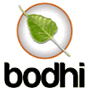 Bodhi Linux